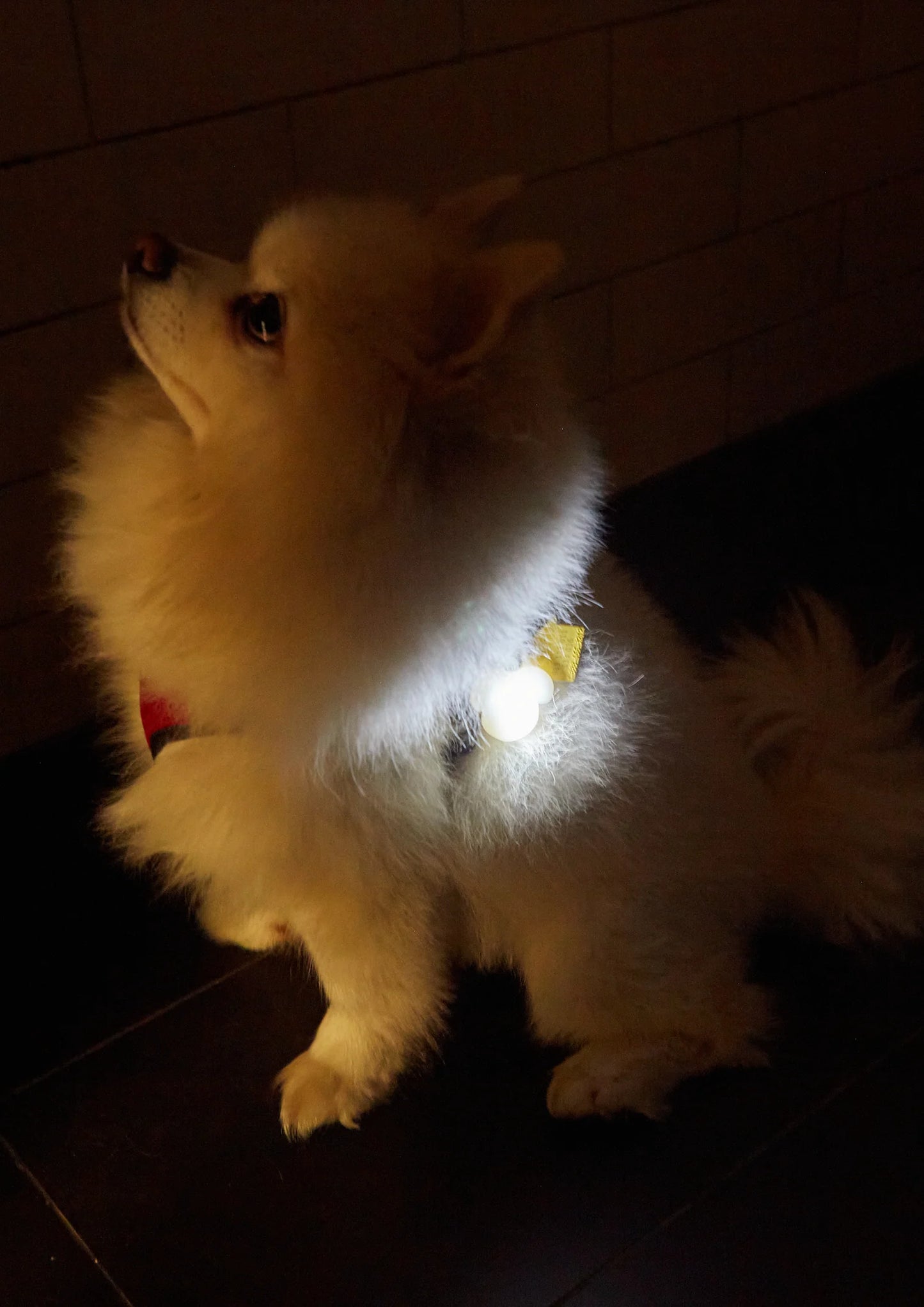 Médaille Lumineuse