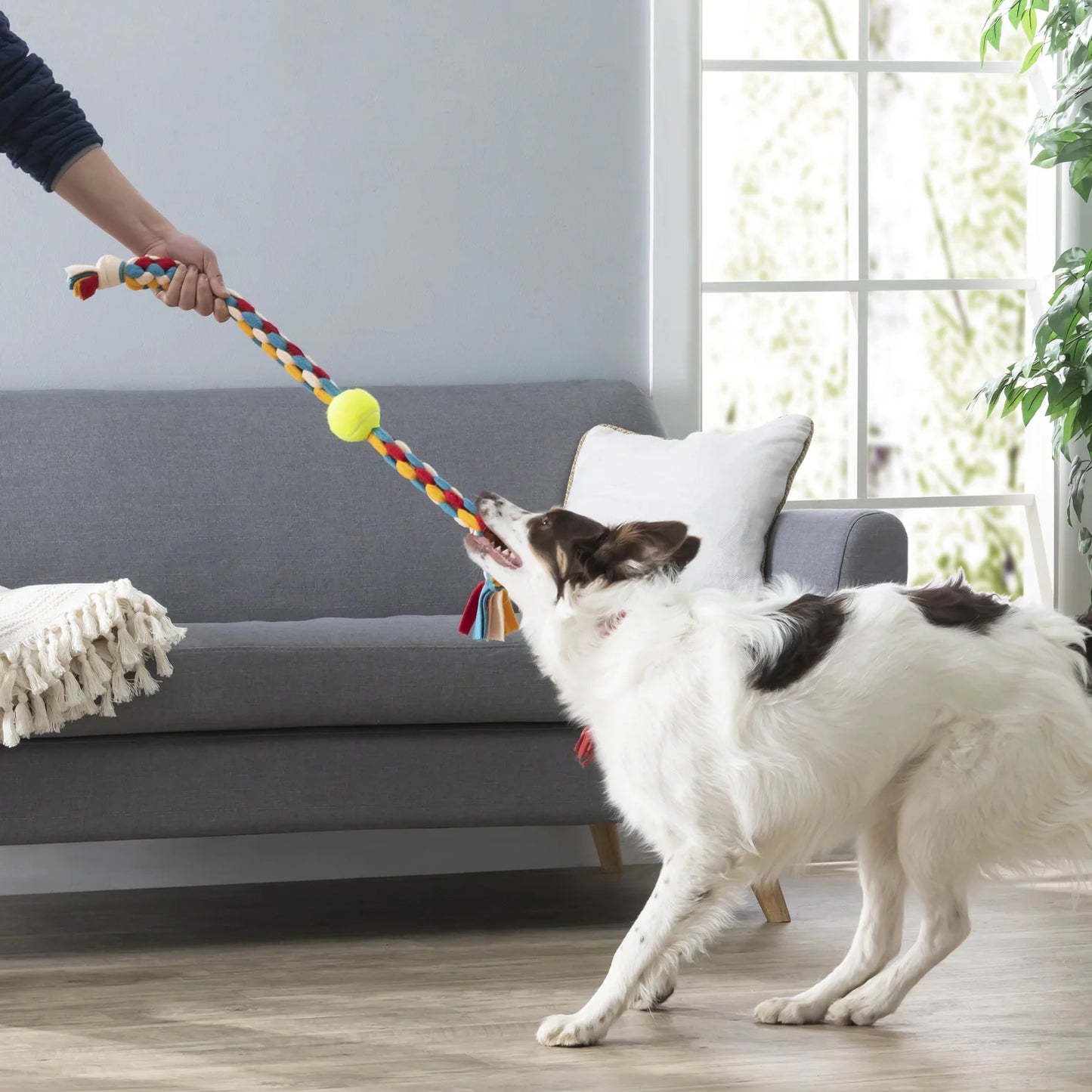 DIY - Jouet pour chien