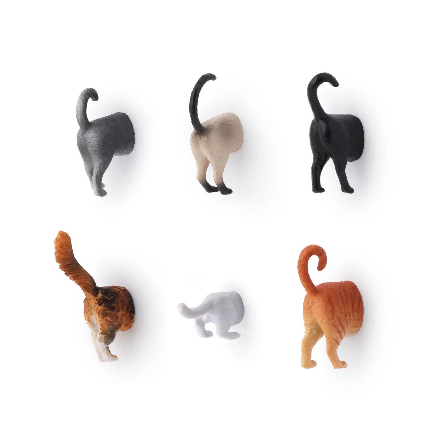 Magnets Derrières de Chats - Lot de 6