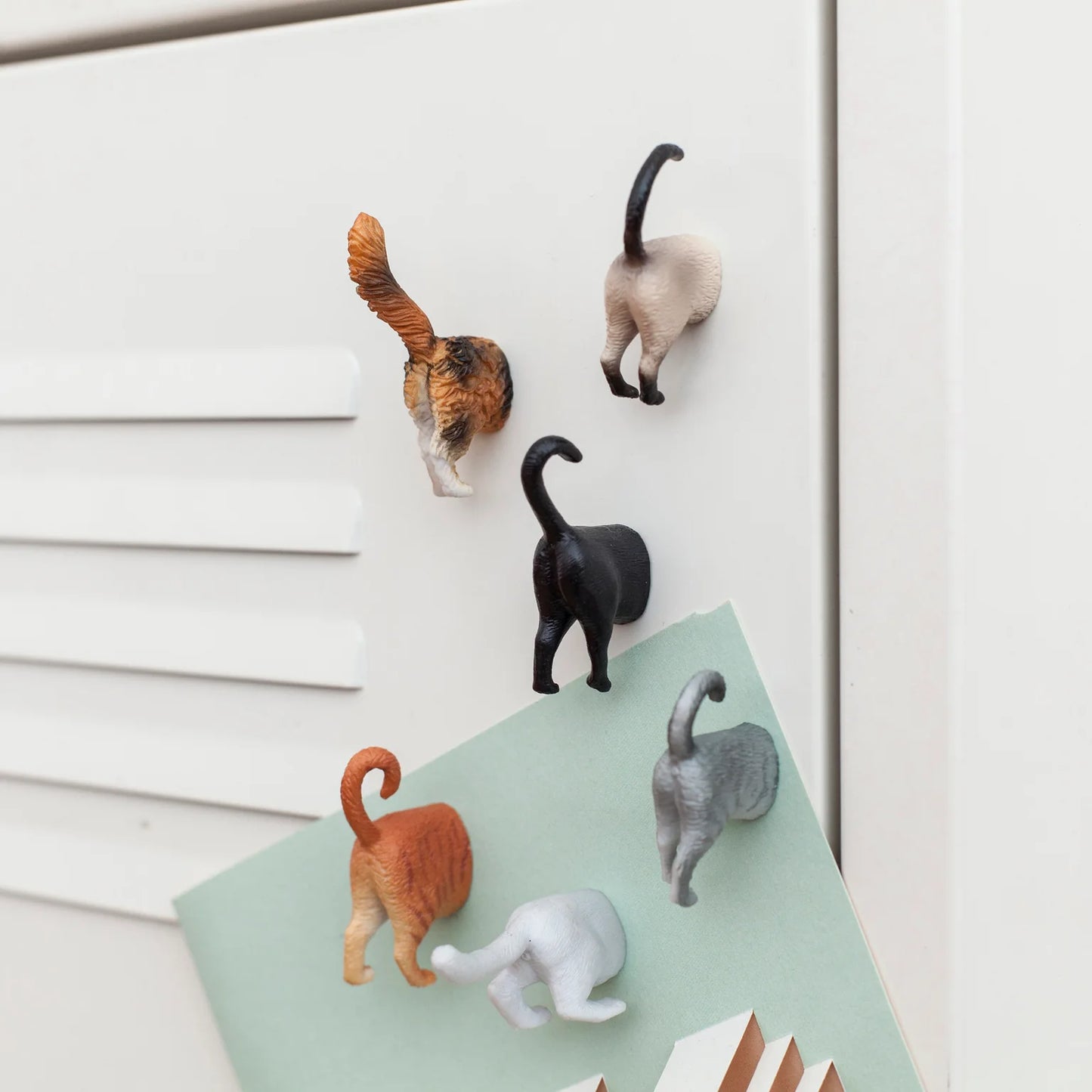 Magnets Derrières de Chats - Lot de 6
