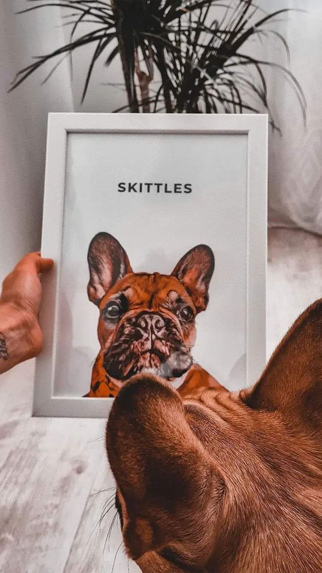 Skittles_-_vertical.png