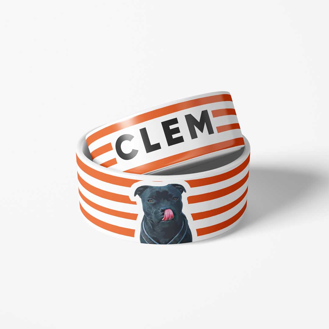 Gamelle personnalisée - Rayures