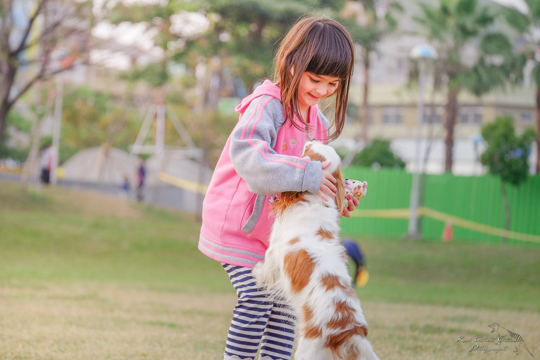 Comment Apprendre à un Enfant à s’occuper d’un Animal ? 