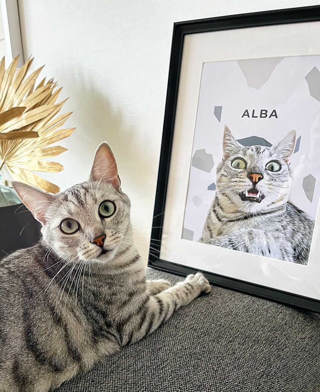 Commandez votre portrait de chat personnalisé !