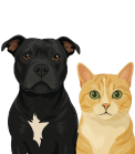 2 animalx