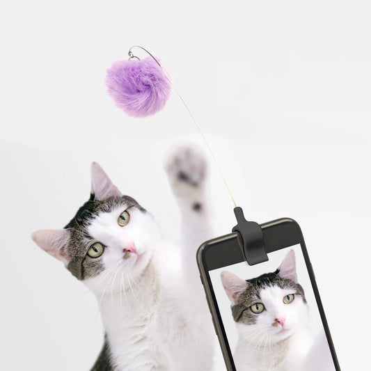 Clip pompon à selfie pour chat